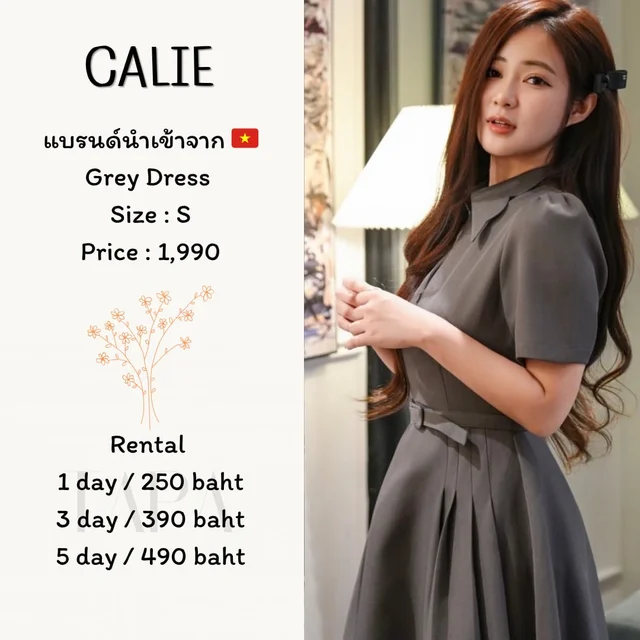 Calie – Grey Dress