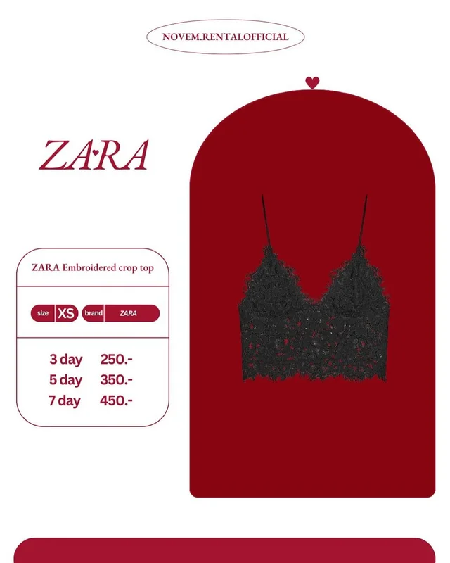 Zara Embroidered crop top (alternate)