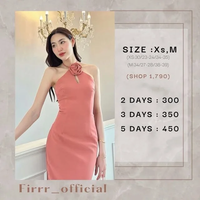 Firrr Primrose Dress  Long Dress thumbnail 4