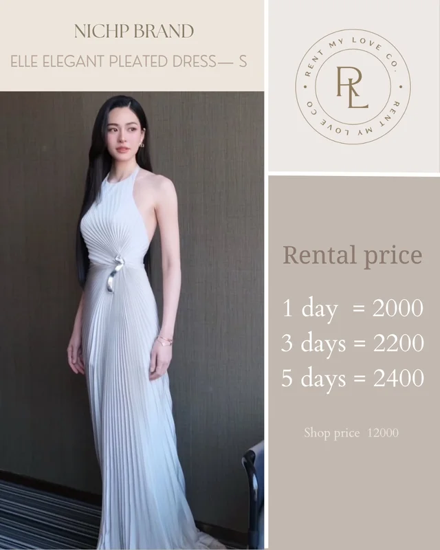 Elle Elegant Pleated Dress 1
