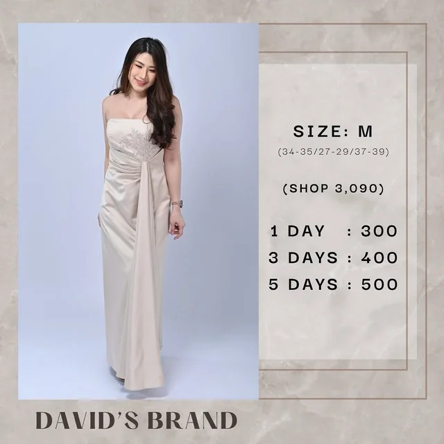 DAVID S BRAND Long Dress 1