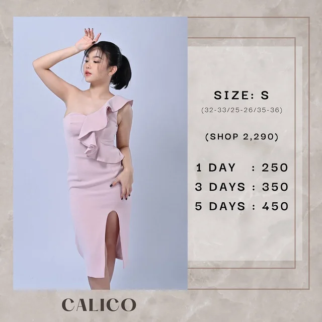 CALICO Pink Ruffled One-Shoulder Midi Dress (Size S)