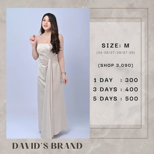DAVID'S BRAND Long Gown
