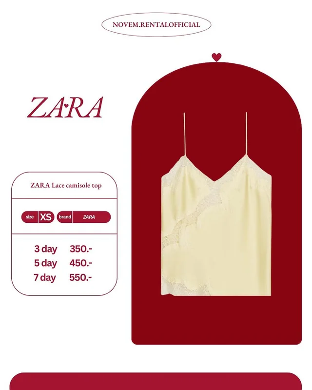 Zara Lace Camisole Top (Size XS)