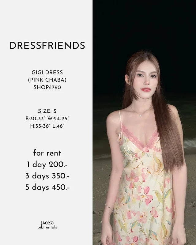 DRESSFRIENDS GIGI DRESS PINK CHABA Long Dress Size S