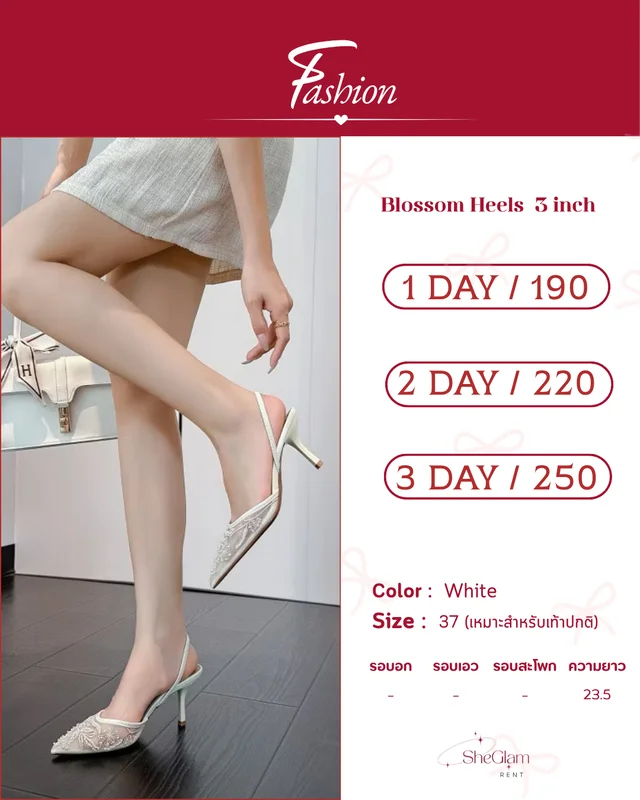 sheglamm.rent Brand  Fashion thumbnail 1