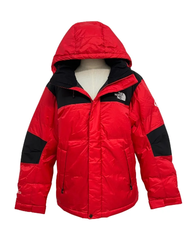THE NORTH FACE 1
