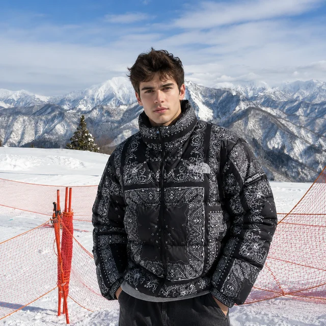 THE NORTH FACE 1
