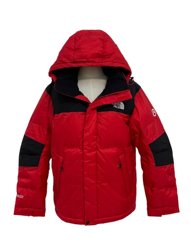 THE NORTH FACE 1