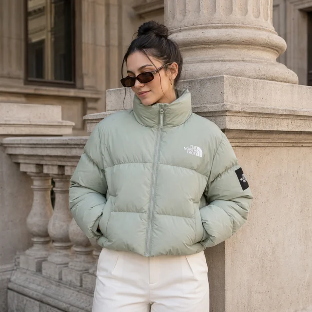 THE NORTH FACE 1