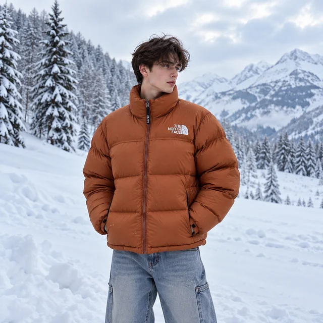 THE NORTH FACE 1