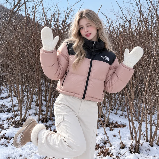 THE NORTH FACE 1