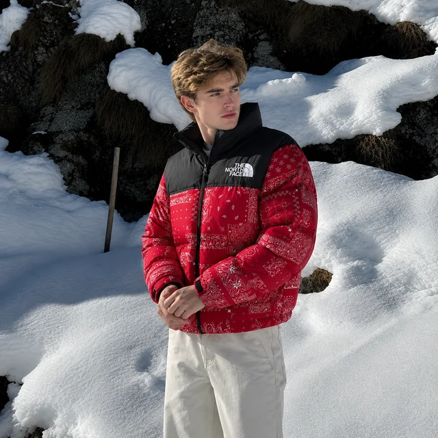 THE NORTH FACE thumbnail 2