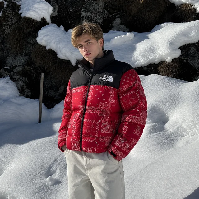 THE NORTH FACE 1