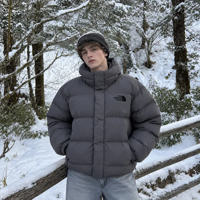THE NORTH FACE 1