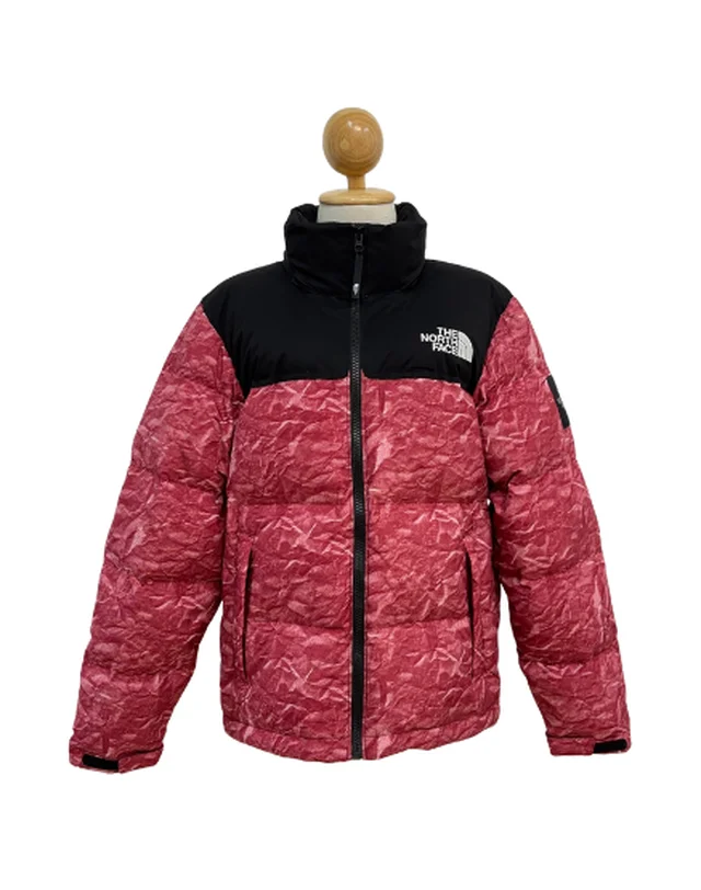THE NORTH FACE 1