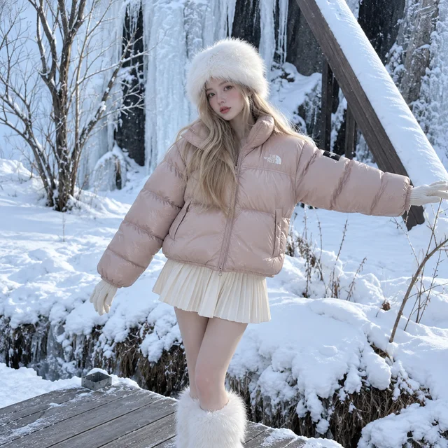 THE NORTH FACE 1