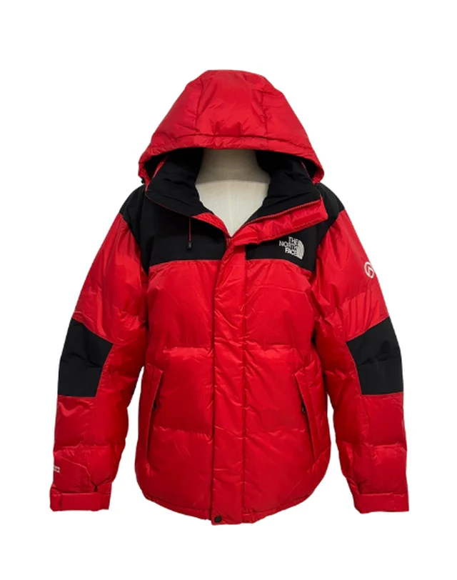 THE NORTH FACE 1