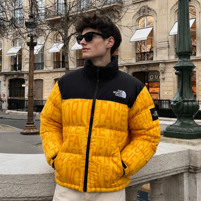 THE NORTH FACE 1