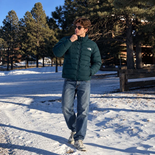 THE NORTH FACE thumbnail 2