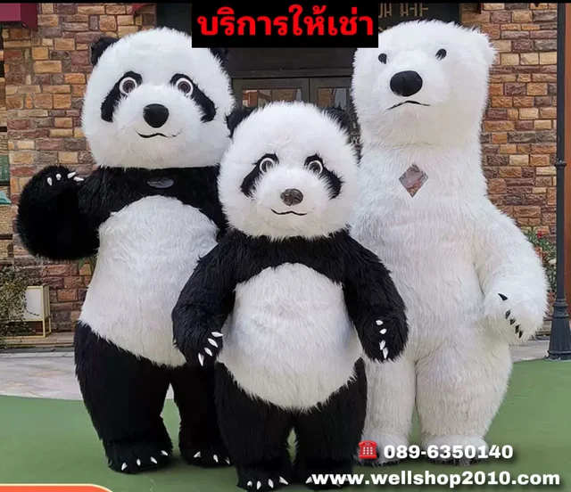 บริการให้เช่าชุดมาสคอตสัตว์ หมีแพนด้า Panda Mascot thumbnail 10